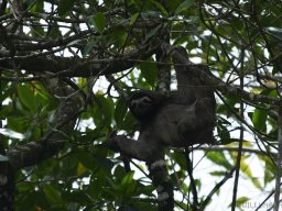 QueenVictoria2015-039